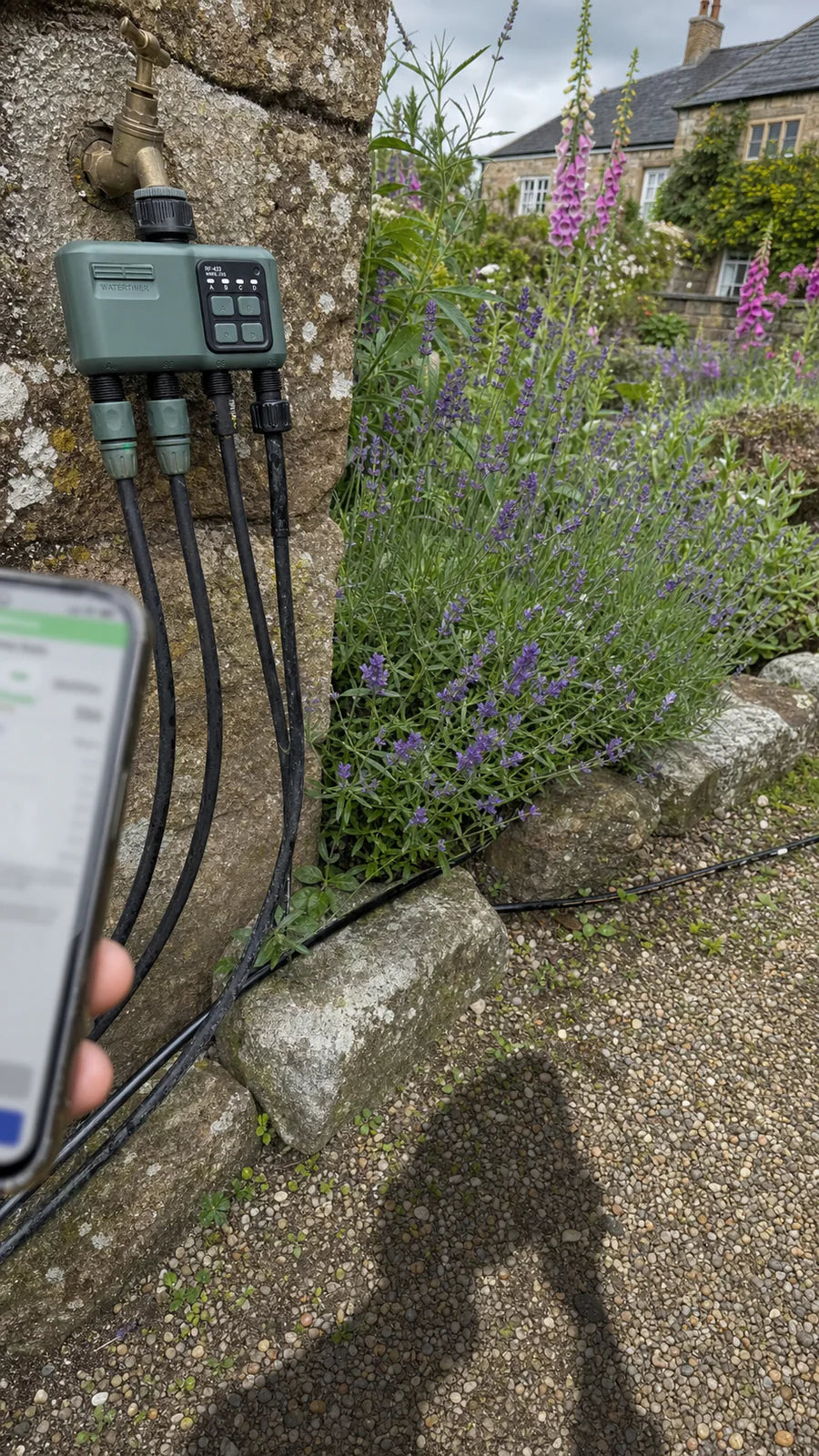 Johgee water timer in a lavender garden garden scene